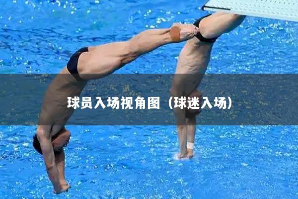 球员入场视角图（球迷入场）