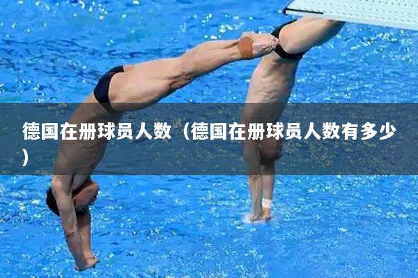 德国在册球员人数（德国在册球员人数有多少）