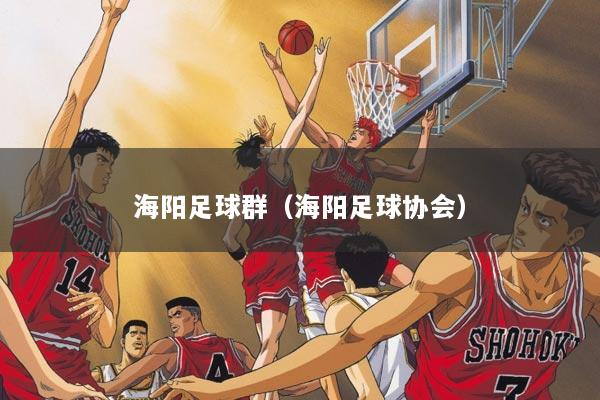 海阳足球群（海阳足球协会）