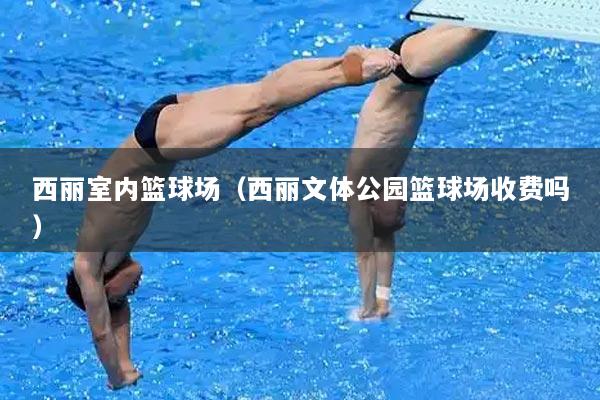 西丽室内篮球场（西丽文体公园篮球场收费吗）