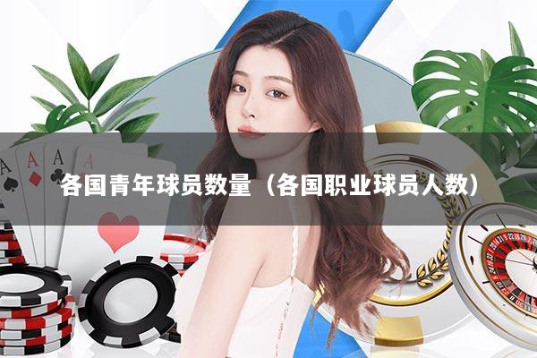 各国青年球员数量（各国职业球员人数）