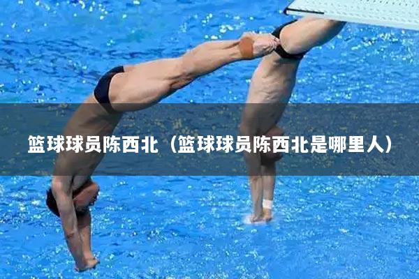 篮球球员陈西北（篮球球员陈西北是哪里人）